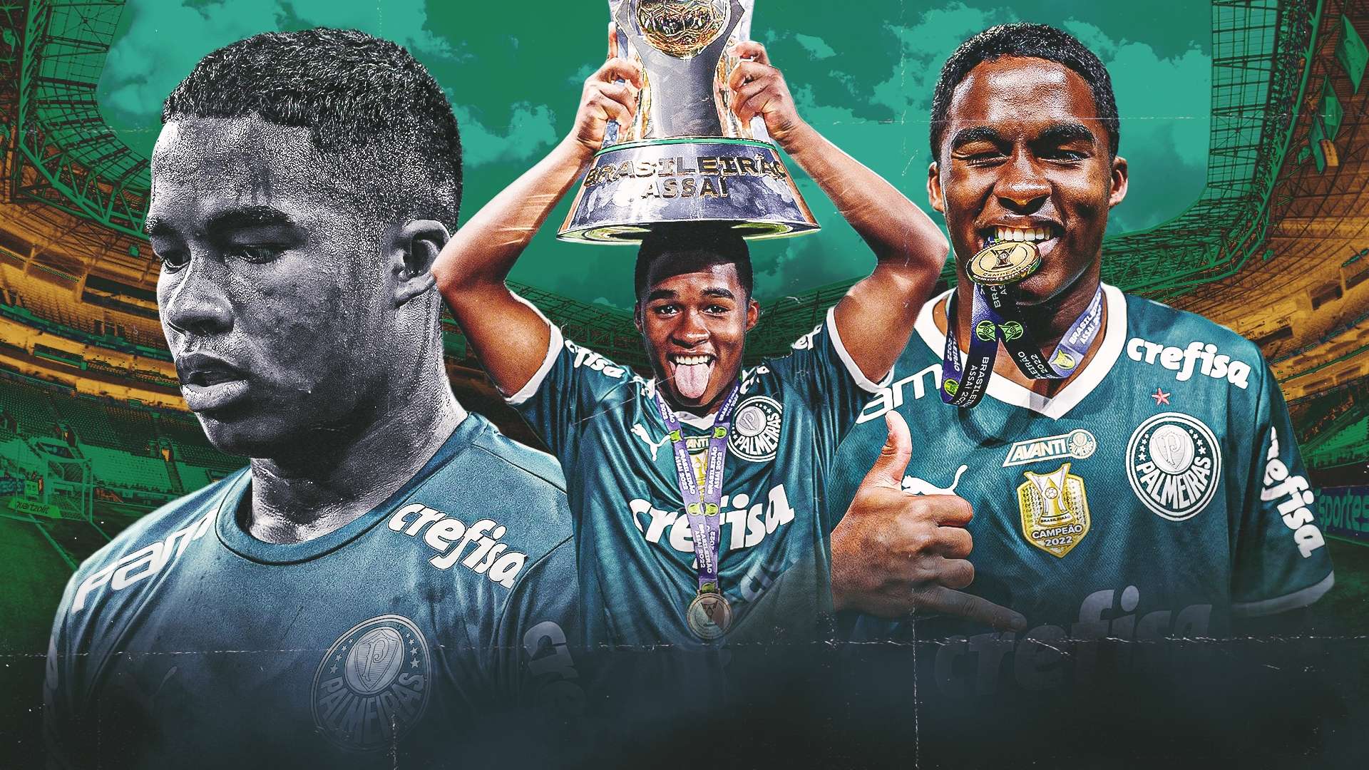 卫功能性的 卫功能性的